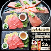 とくべつかん|A4,A5等級 特選 黒毛和牛 カルビ焼肉 ねぎまみれ 味噌ダレ&塩ダレ 2.5kg(250g×各5) 食べ比べ 牛肉 肉 お中元 ギフト 食品 お祝い 霜降り 黒毛|肉・肉加工品 — 1