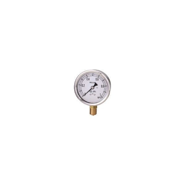 右下精器製造 GLT-21-0.25MP グリセリン-T (AU1/4×60×0.25MPA) メーカー直送