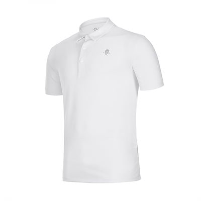 珍品　帛紗　大虚山光悦寺　山下恵光書付　インド土産　サリー裂服紗　インド更紗古裂 珍品 帛紗 大虚山光悦寺 山下恵光書付 インド土産 サリー裂服紗 インド