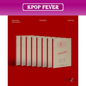 straykids maxident case 選択