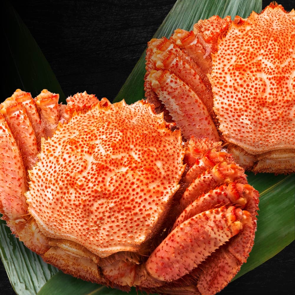 北海道産 毛蟹 毛ガニ 毛がに 800g 2尾セット 札幌 場外市場 ボイル 海鮮グルメ お取り寄せ ギフト プレゼント 御歳暮 お歳暮