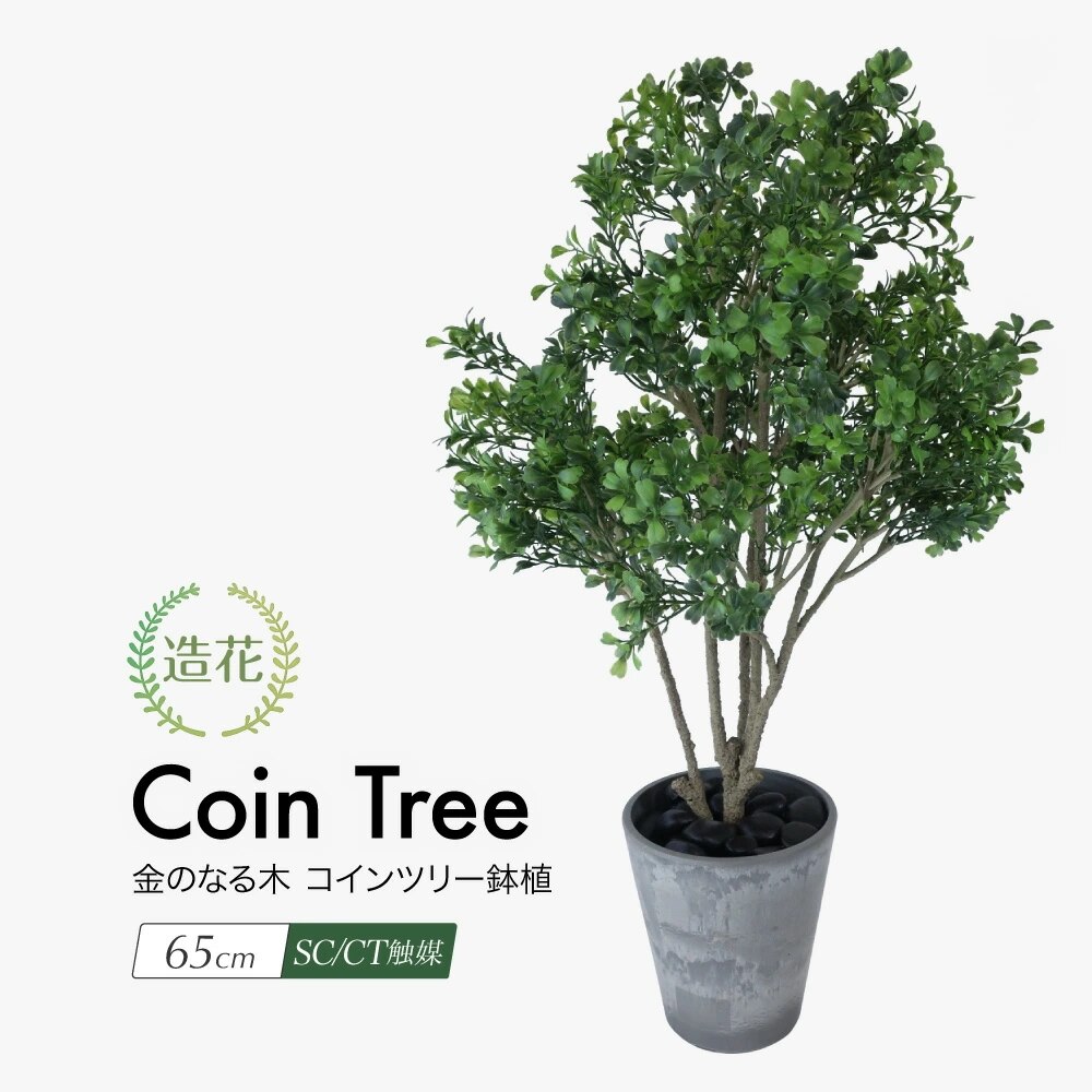 フェイクグリーン 金のなる木 コインツリー 65cm 鉢植 CT触媒