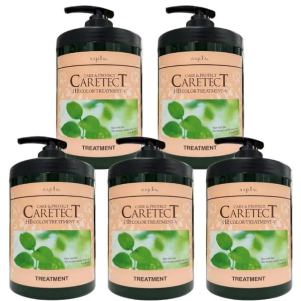 ナプラ ケアテクト HB カラー トリートメント V ハリ・コシタイプ 650g 5個セット
