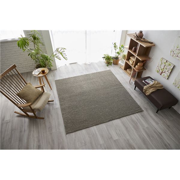 スミノエ 洗える ラグ ソル 約幅190x長さ190cm グレージュ 日本製