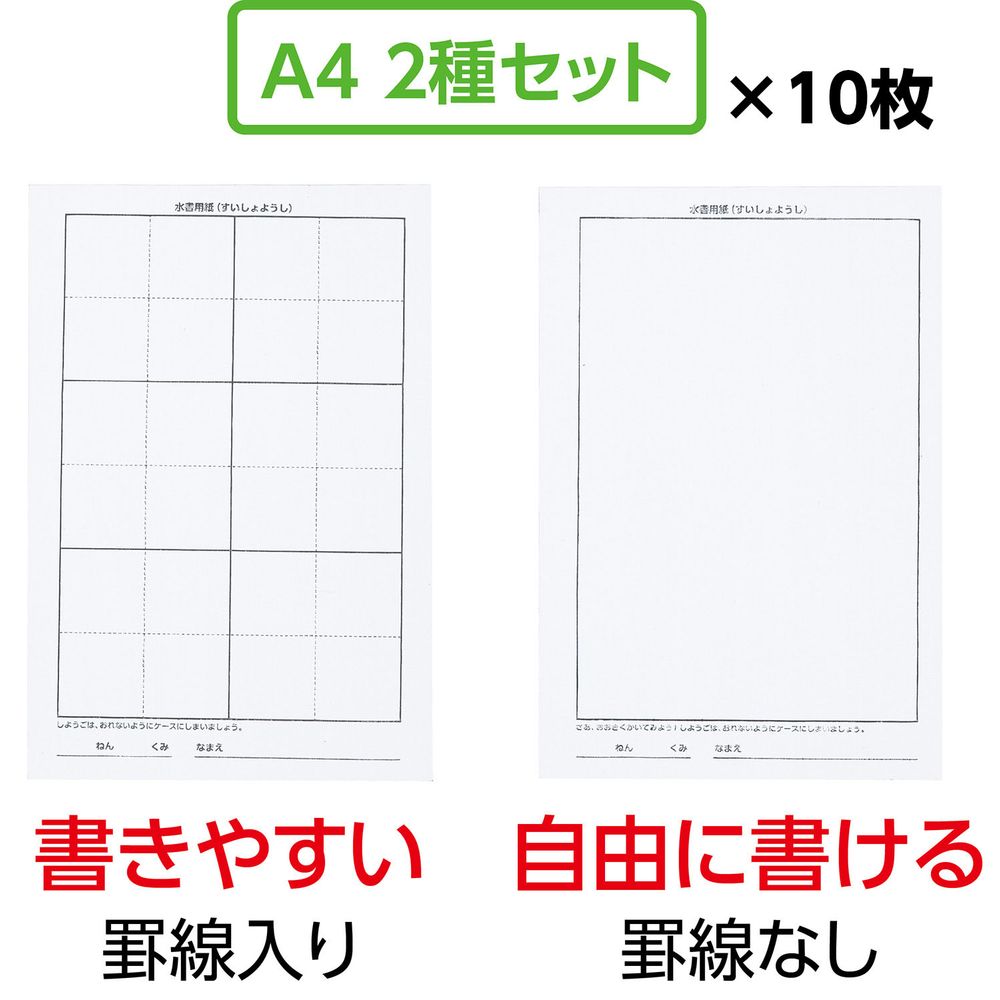（まとめ買い）水書紙セット A4 2枚組（不織布）（10枚セット） 12020 [x3セット]
