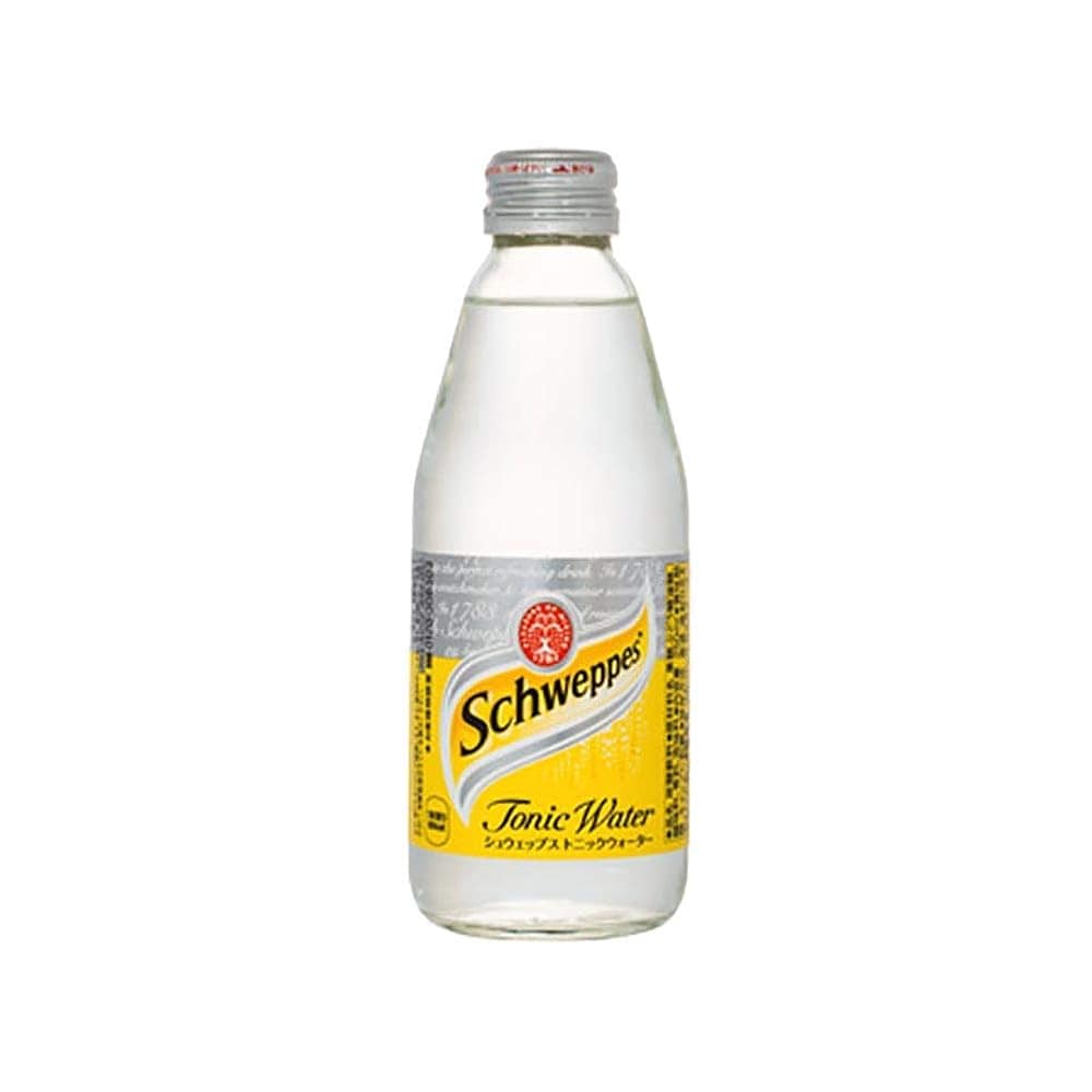 シュウェップストニックウォーター 250mlOWB　24本×2ケース