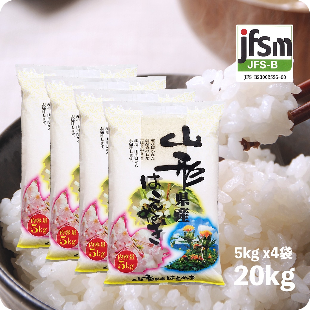 米 20kg 山形産はえぬき 令和6年産 お米 20キロ