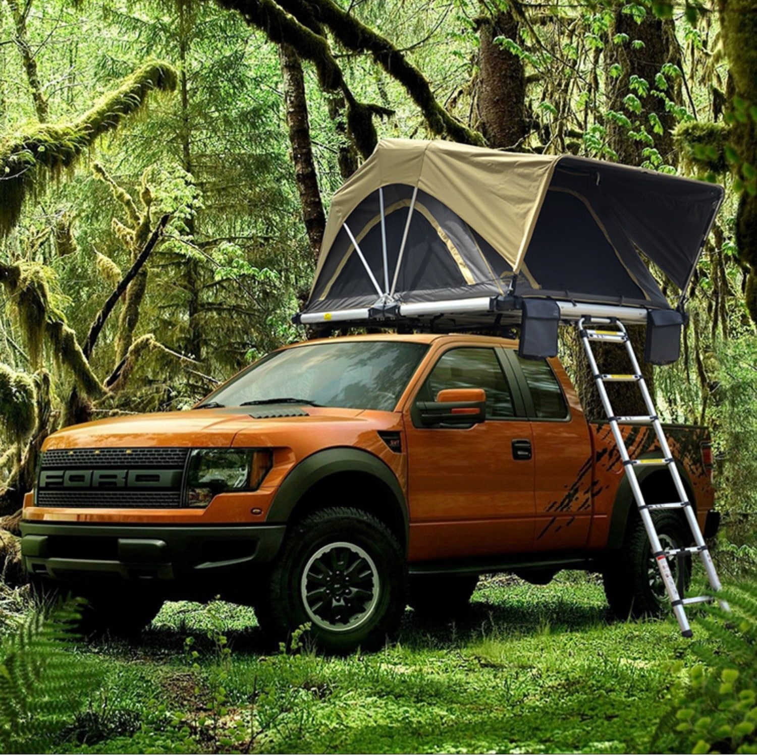 30秒で設営！労力ゼロのルーフトップテント【ワイルドクルーザーWILDCRUISER】WILDLAND ワイルドランド キャンプ 4-5人用 簡単設営 耐荷重300kg 車中泊 125,000円