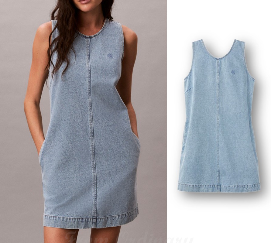 Womens Denim Dress (47F499G-1XT)