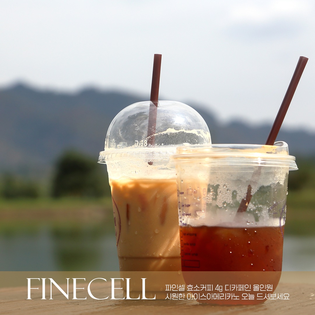 ファインセル酵素コーヒー 4g 6 BOX