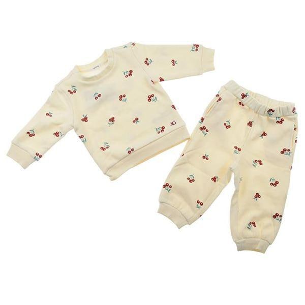 01R733053 モア果実上下