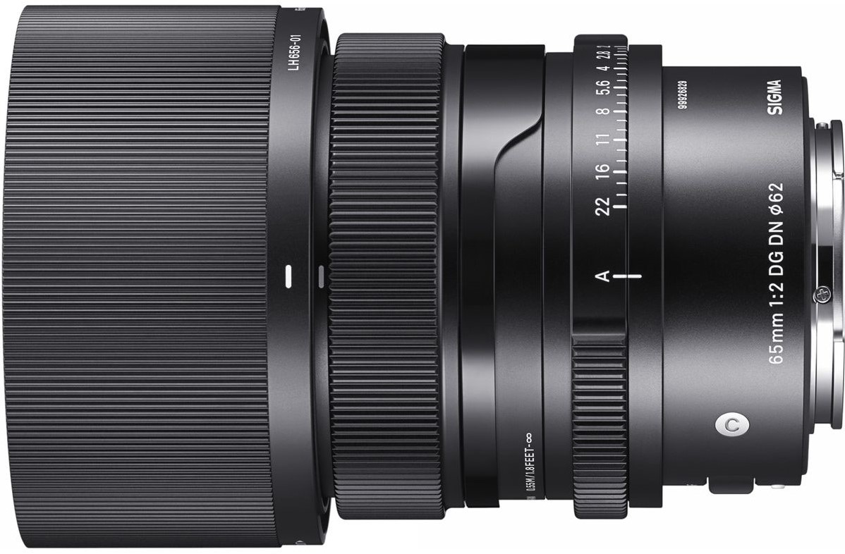 65mm F2 DG DN [ソニーE用]　レンズ