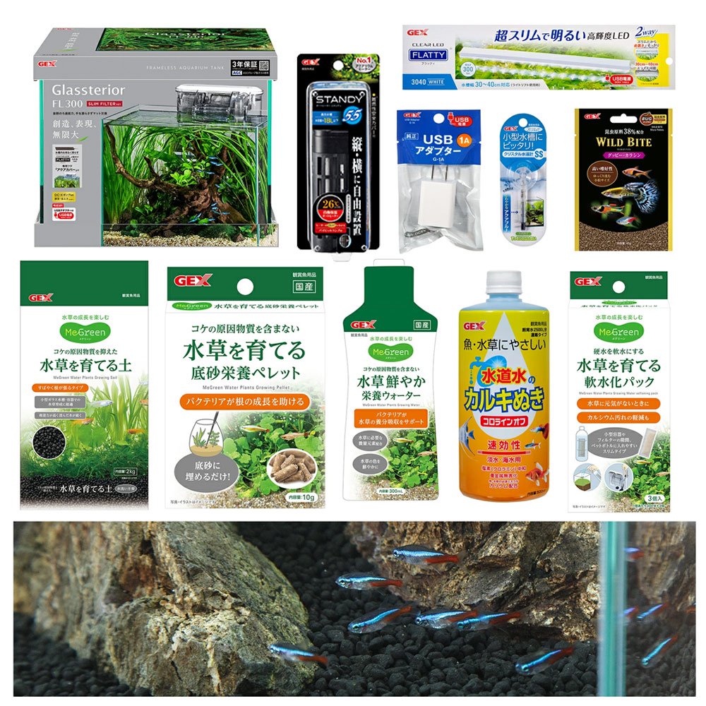 （熱帯魚）（水草）飼育セット　ＧＥＸ　ガラス水槽　グラステリアＦＬ３００　ネオンテトラ飼育セット　アダプター別売り　本州四国限定　ＣＲＣ10―11―03―10―99