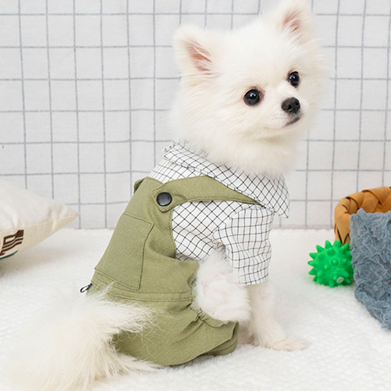 ディズニープリンセスのベビーグッズも大集合 犬のオーバーオールシャツテディ服ファッション格子縞4本足服ット服用品 ドッグウェア Color 4つのレギンス Truthprofoundationindia Com