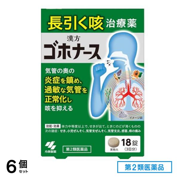第２類医薬品 小林製薬 ゴホナース 18錠 (3日分) 6個セット 4,890円