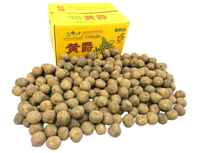 北海道 北見産 じゃがいも =黄爵= 秀品 Mサイズ 約20kg 男爵芋予約 8月末以降