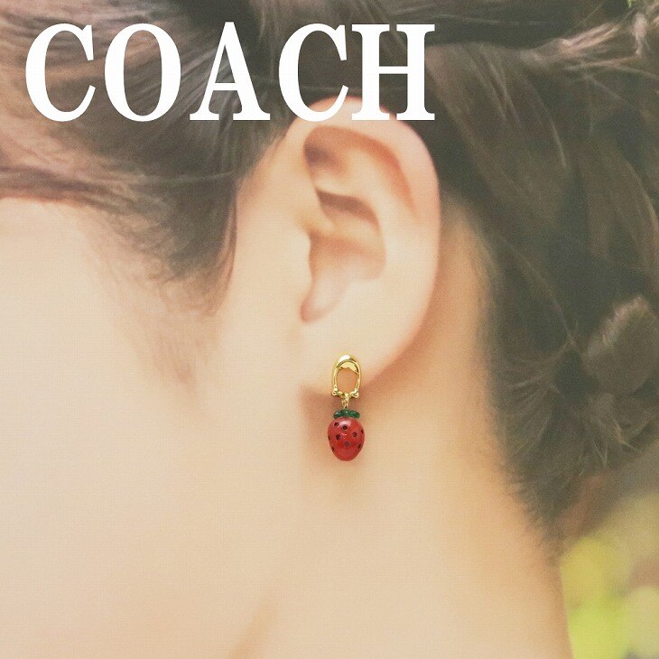 ピアス ロゴ イチゴ いちご ストロベリー フルーツ C9456RDGD 【ネコポス】