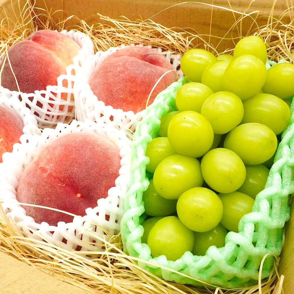 旬のフルーツセット 桃 4玉 マスカット 1房 産地お任せ フルーツ 2種 セット 葡萄 ぶどう マスカット 果物 フルーツ 詰め合わせ