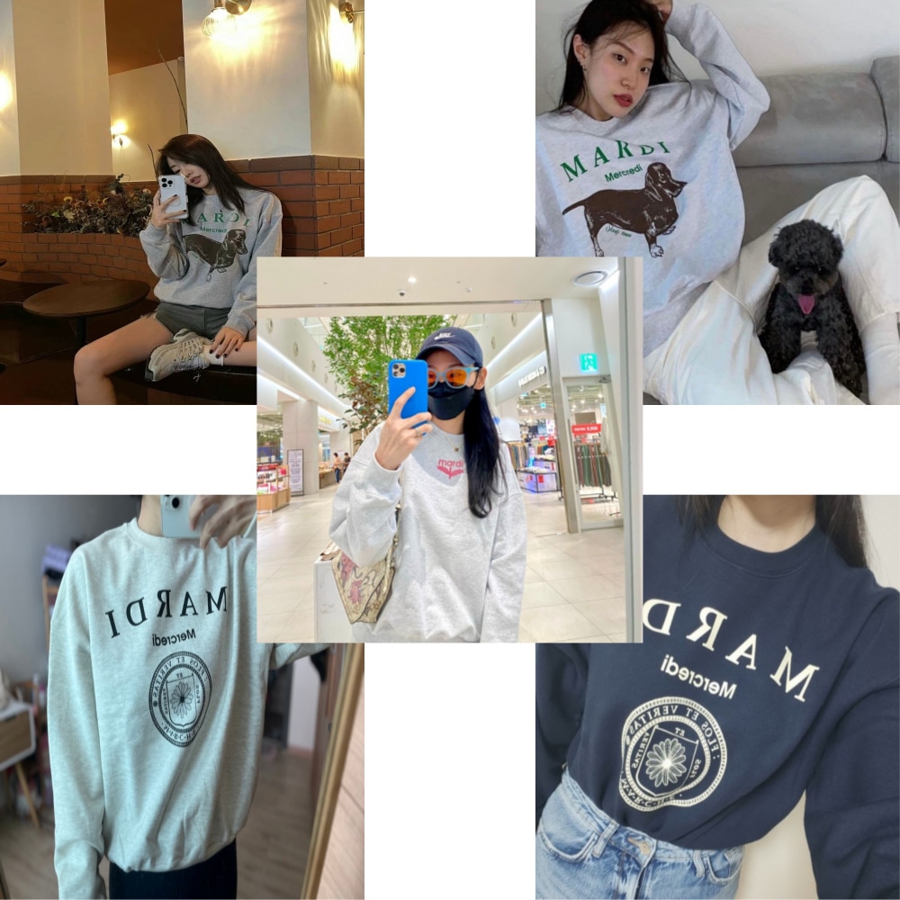 トレーナー/ 6種類 /ユニセックス /カップルルック/韓国ファッション/DDANJI/UNIV/SMALL BLOOMMARDI NEEDLEWORK