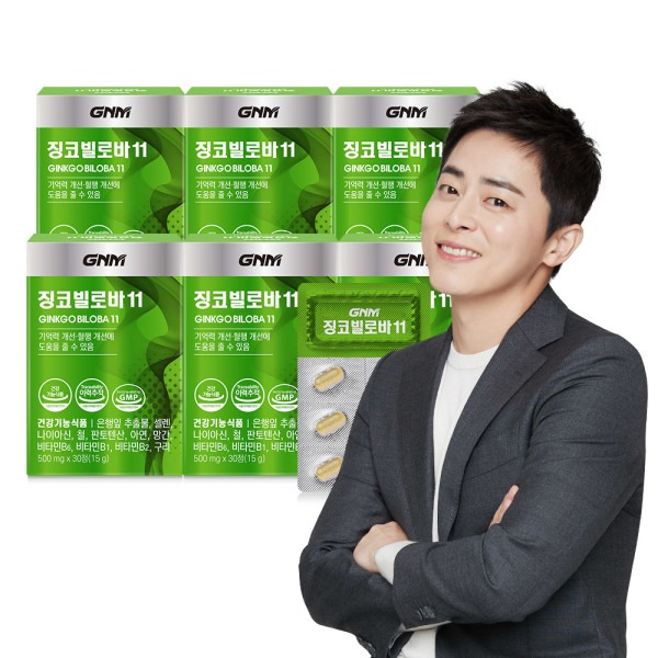 イチョウビロバ/銀杏茶/銀杏/銀杏葉エキス