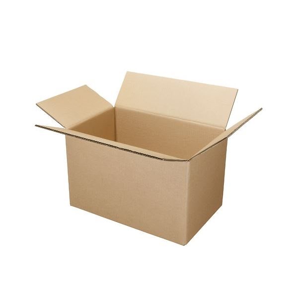 （まとめ） ジョインテックス Wフルートダンボール箱大大10枚B240J-LL[x3セット]