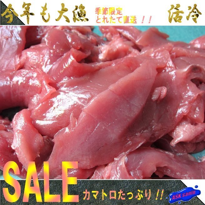 生まぐろ「中落ち＆切り落とし1ｋｇ」希少です！！山陰境港産（予約販売）