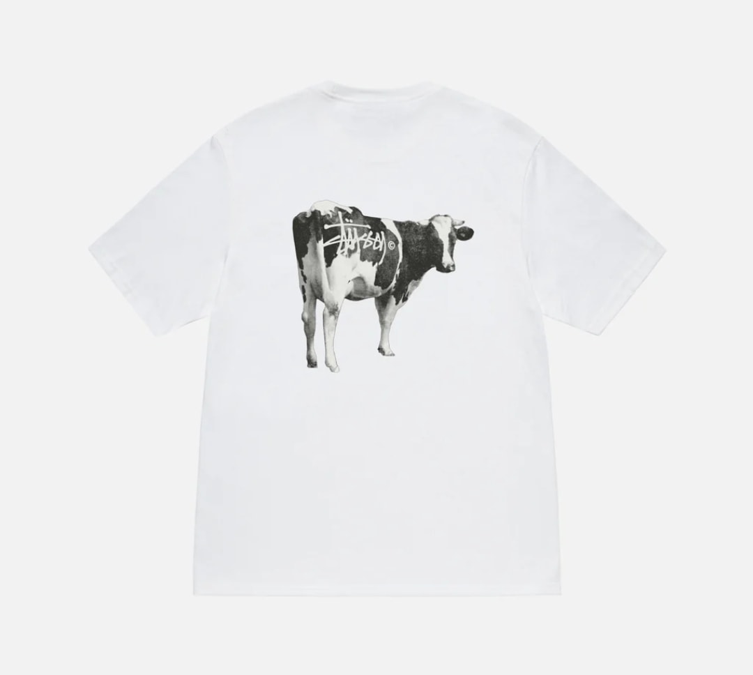 STUSSY（ステューシー） STUSSY GRASSFED TEE 1905046 - White -black Tシャツ 半袖 メンズ 並行輸入品 5,720円