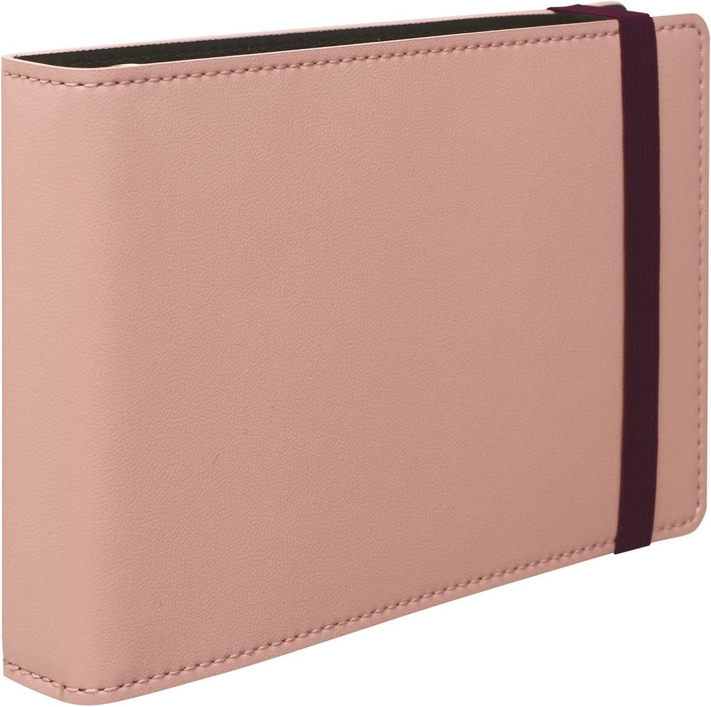 （まとめ買い）ジウリス ミニサイズバインダー ライトピンク FM71-38 [x2]