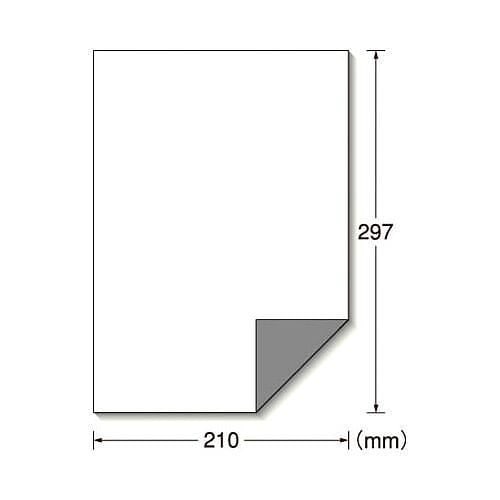 （まとめ買い）屋外でも使えるサインラベルシール 艶消し 31040 00012527 [x3]