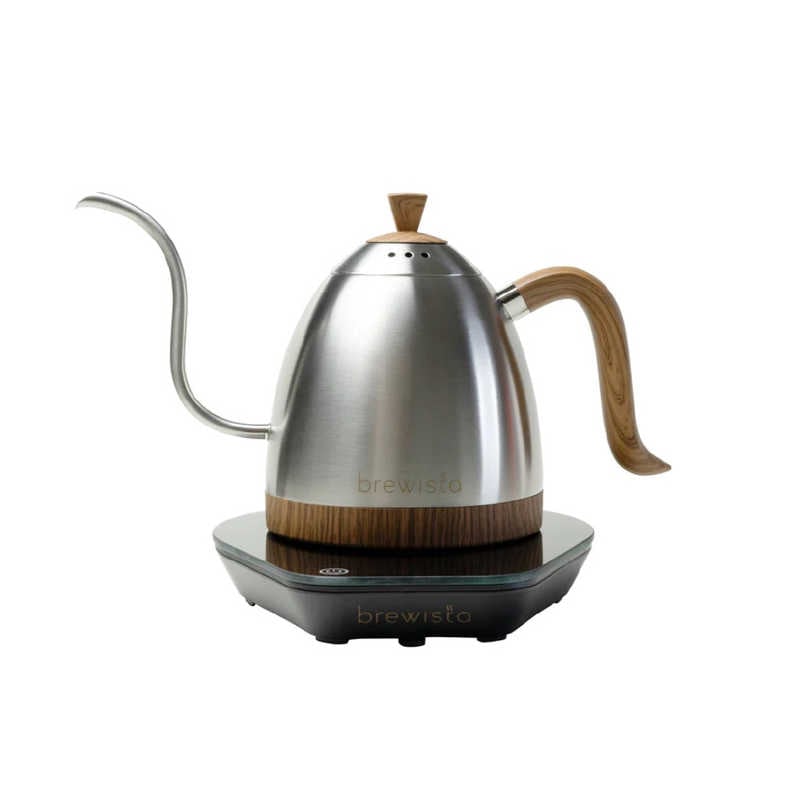 スピン　brewista アルティザングースネックバリアブルケトル 0.6L ステンレススチール　BR6106GVKJP