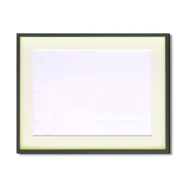 水彩額縁/フレーム [F10号/グリーン] 壁掛けひも/アクリル/マット付き 化粧箱入り 5767 13,168円