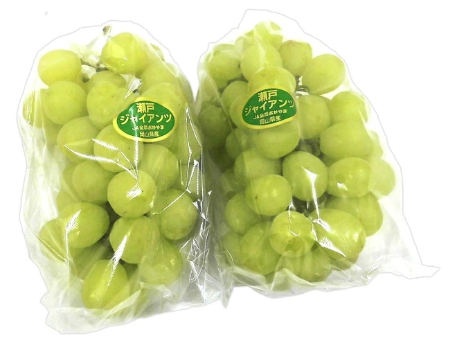 岡山産 =瀬戸ジャイアンツ= 大房限定 2房 約1-1.2kg ぶどう[B2] 予約 8月以降