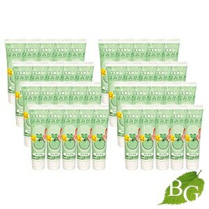 ジーシー こども用はみがき アップル 40g 40本セット