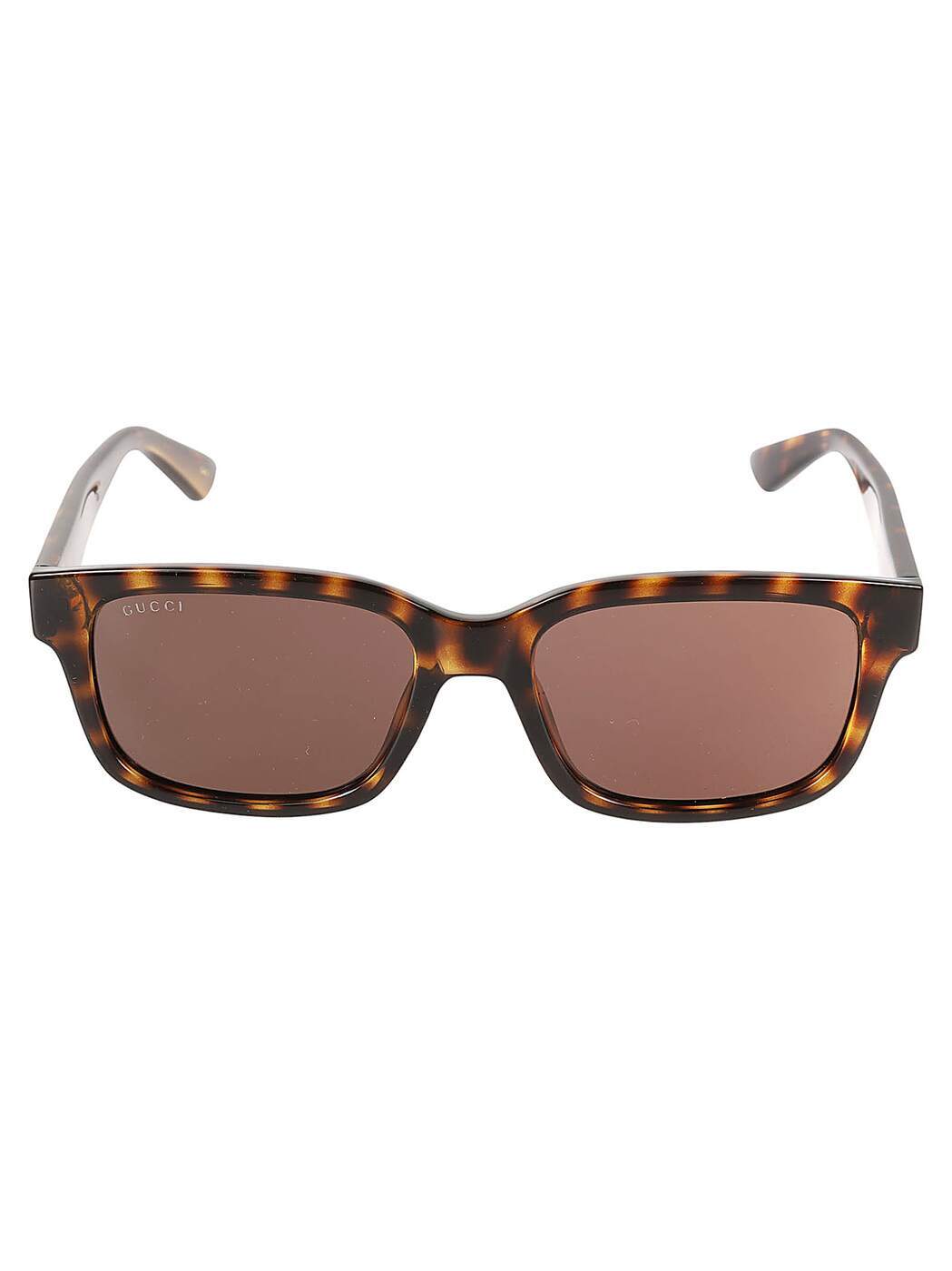 GG1583S002 havana havana brown 秋冬2024 サングラス・メガネ メンズ ia