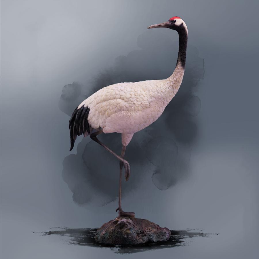 JXK 1/6 サイズ タンチョウ 鶴 鳥類 リアル フィギュア PVC プラモデル プレミアム 大人のおもちゃ 模型 高さ23cm オリジナル スタチュー プレゼント 置物