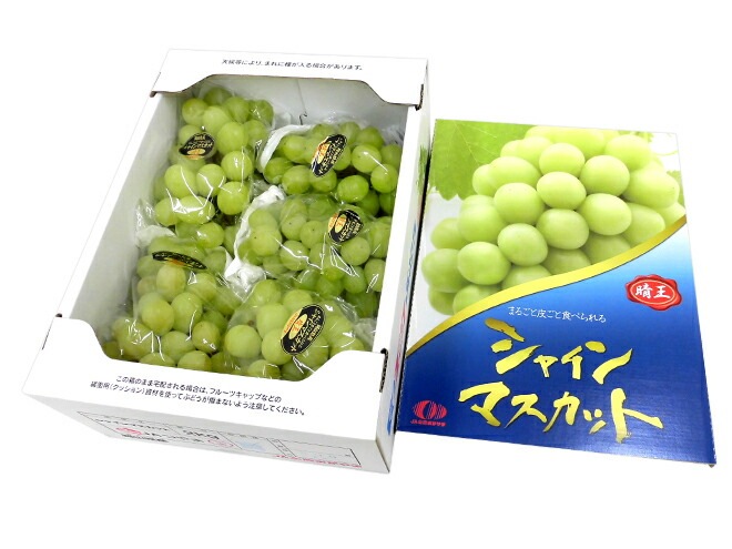 岡山産 =シャインマスカット晴王= 訳あり 約2kg 大きさおまかせ 産地化粧箱 予約 7月下旬以降