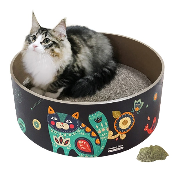 TF005ヒーリングタイムチンガチンガ猫スクレチョビッグサイズ+ケトニプ/韓国配送/ペット用品
