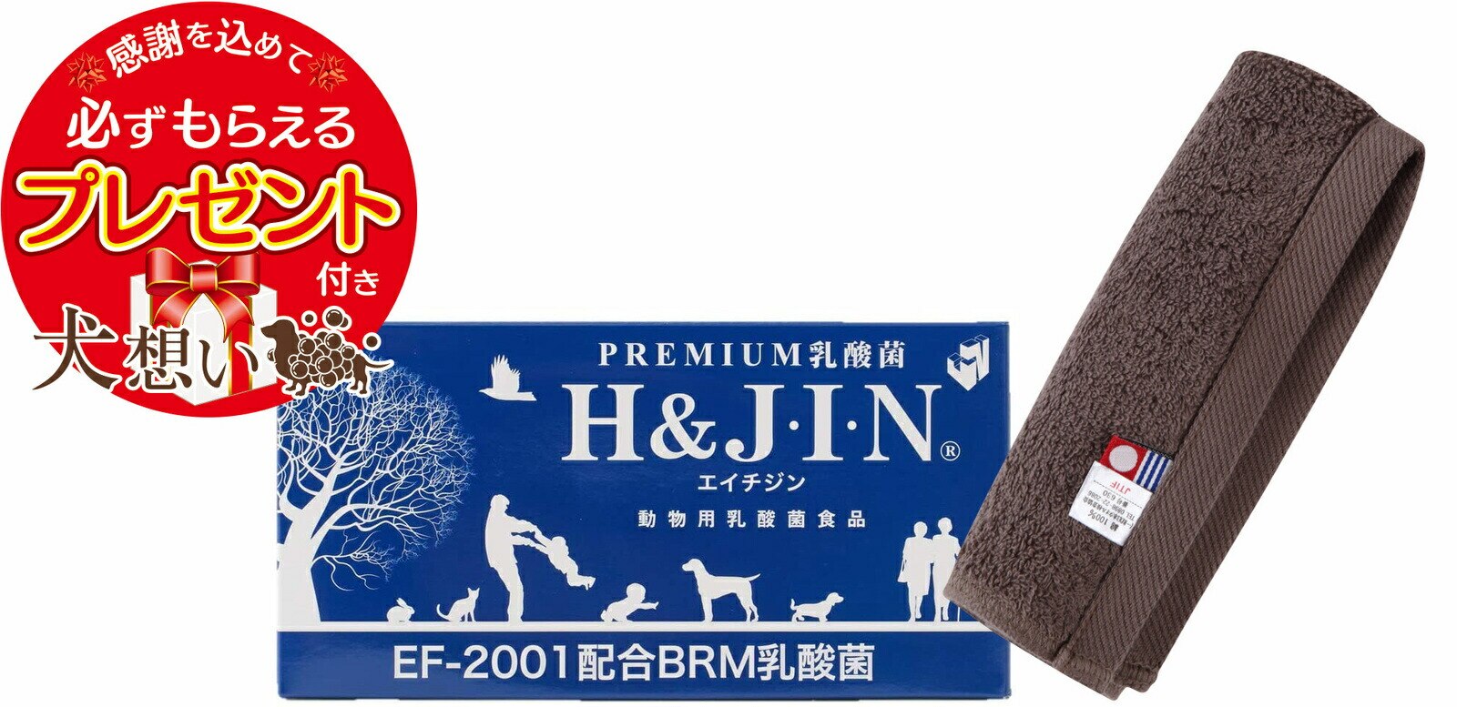 Premium 乳酸菌 H&JIN 動物用 90包 エイチアンドジン【犬想いオリジナル今治ハンドタオルセット】【タオルカラー モカ】【正規品】