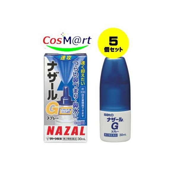 【5個セット】 【定形外郵便にて発送】 【第2類医薬品】ナザールGスプレー 30ml (4987316018805-5)