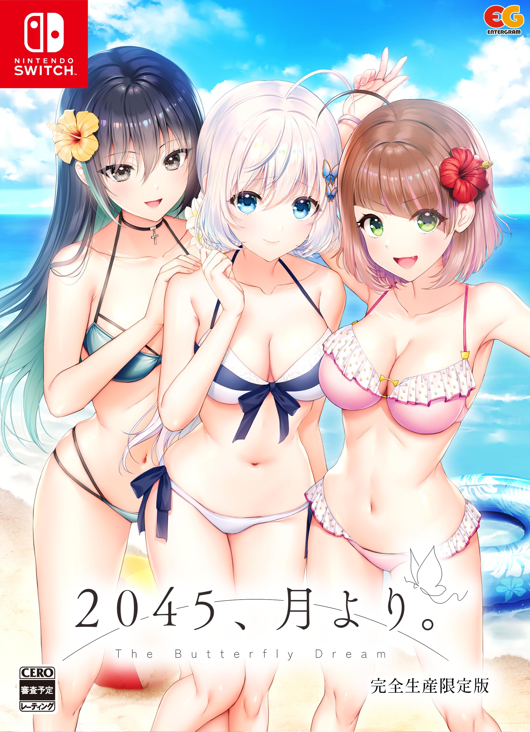 【最安値挑戦中】 2045月より 完全生産限定版 -Switch 【同梱】B2タペストリーアクリルキーホルダーセット 同梱