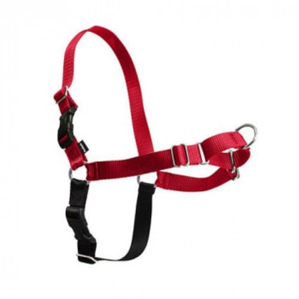 PetSafe Japan ペットセーフ イージーウォークハーネス L レッド×ブラック EWH-HC-L-RED
