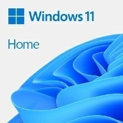 Micorosoft Windows 11 Home DVD 日本語版 DSP版 MS-KW9-00643/S 新品