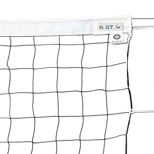 6人制バレーネット 日本バレーボール協会公認)　T100　日本製 21,175円
