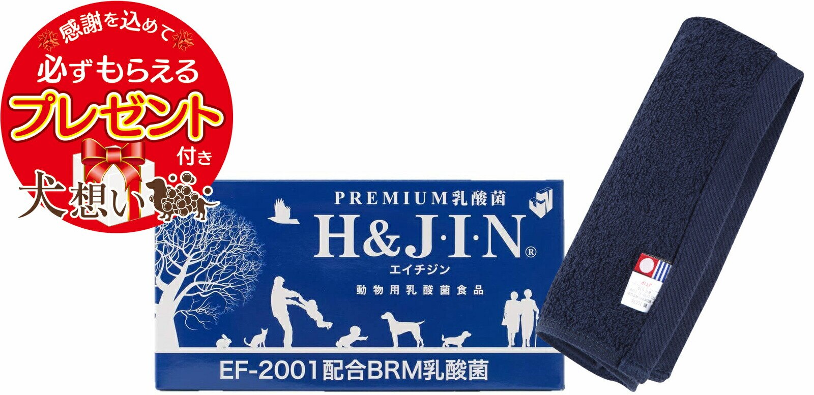 Premium 乳酸菌 H&JIN 動物用 90包 エイチアンドジン【犬想いオリジナル今治ハンドタオルセット】【タオルカラー ネイビー】【正規品】