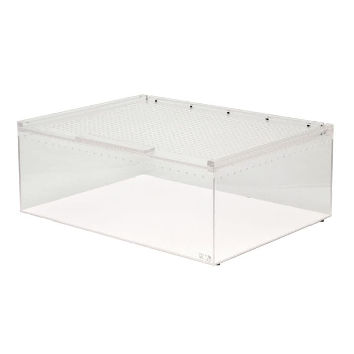 レプタイルボックス ワイド E221 爬虫類両生類用品