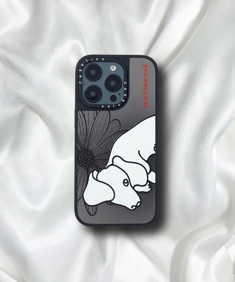 MERCREDI CH, 01 CASE