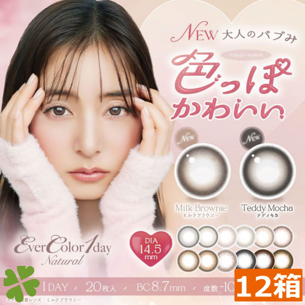 エバーカラーワンデー ナチュラル 　(20枚入）　12箱　カラコン　アイセイ　新木優子