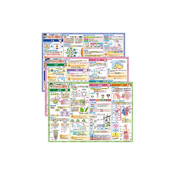 Qoo10] お風呂の学校 お風呂の学校 中学受験マスターどこでも理