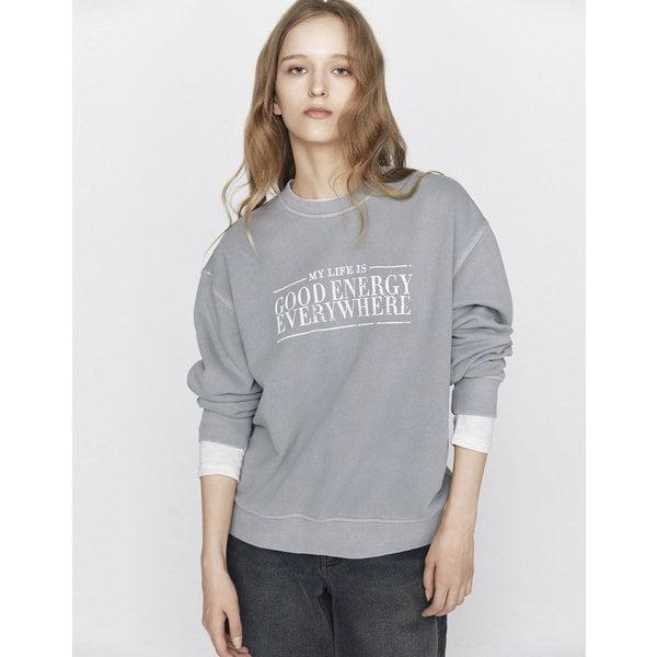 326510 NEW テリー ウォッシング スウェットシャツ