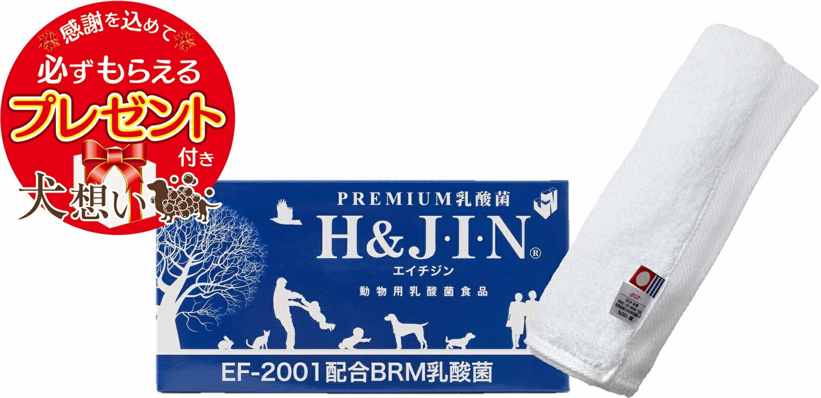 Premium 乳酸菌 H&JIN 動物用 90包 エイチアンドジン【犬想いオリジナル今治ハンドタオルセット】【タオルカラー ホワイト】【正規品】
